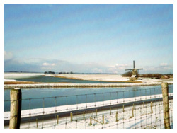 Winter in de polder